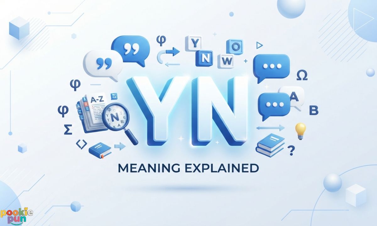 YN Meaning Explained