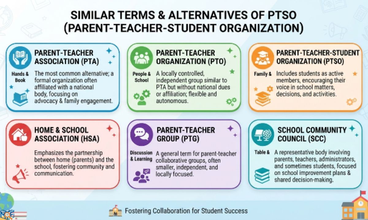 Similar Terms & Alternatives