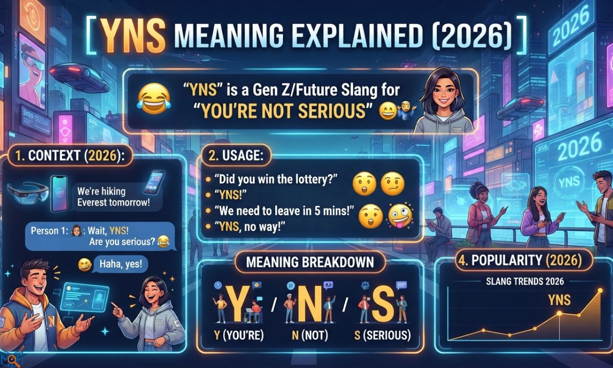 YNS Meaning Explained (2026)